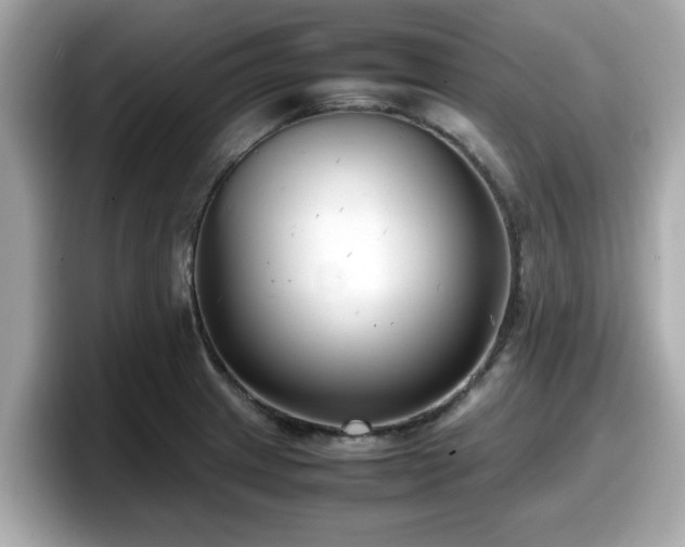 X0000098081233200804110936