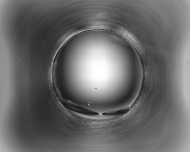X0000098081236200804110936