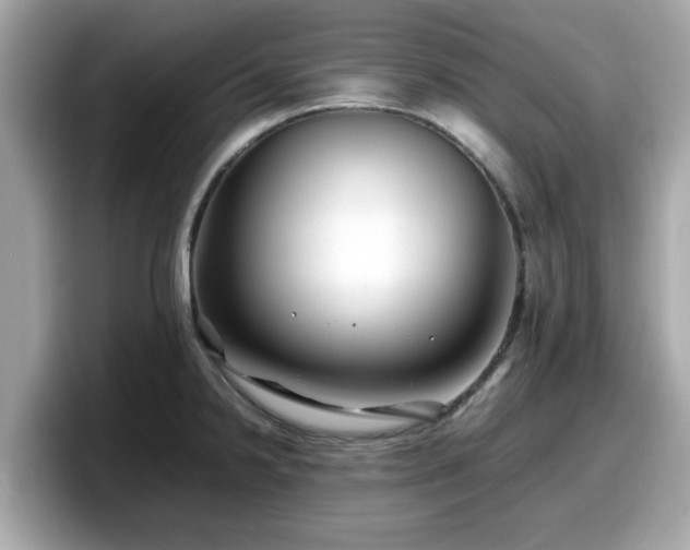 X0000098081238200804110936