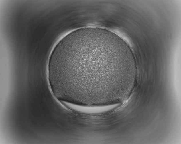 X0000098081239200804110936