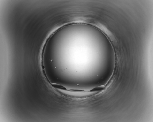X0000098081240200804110936