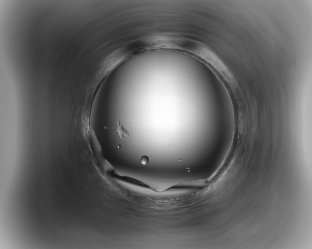X0000098081241200804110936
