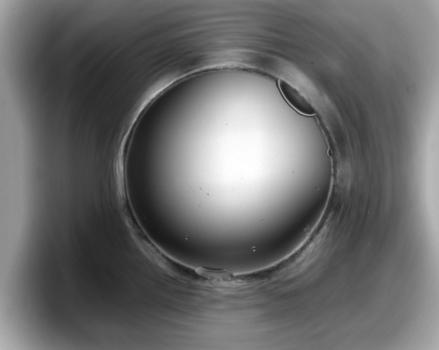 X0000098081242200804110936