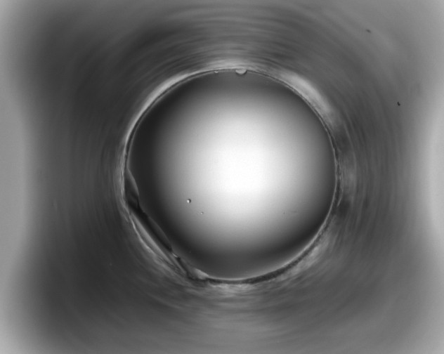 X0000098081244200804110936