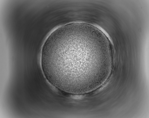 X0000098081245200804110936