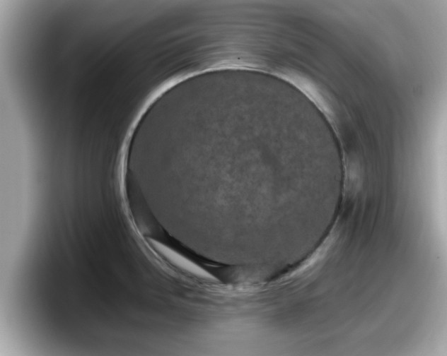 X0000098081246200804110936