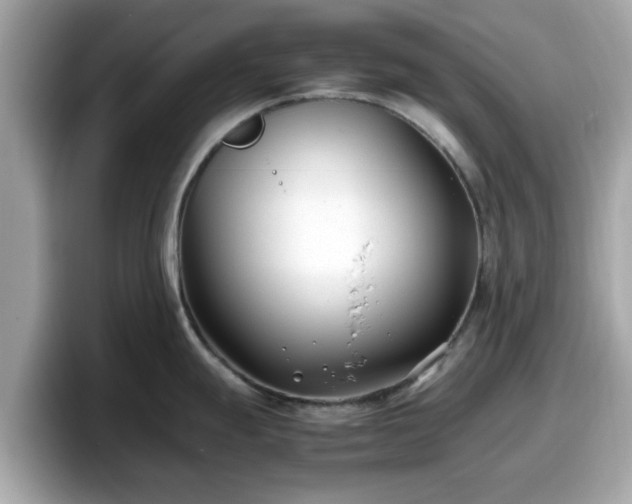 X0000098081247200804110936