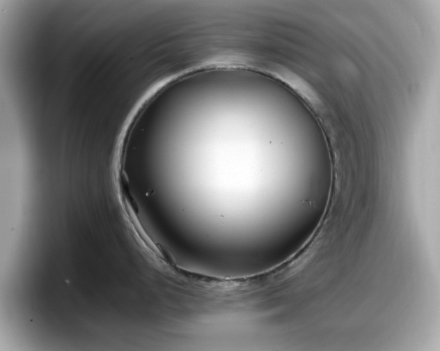 X0000098081248200804110936