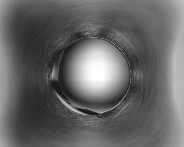 X0000098081250200804110936