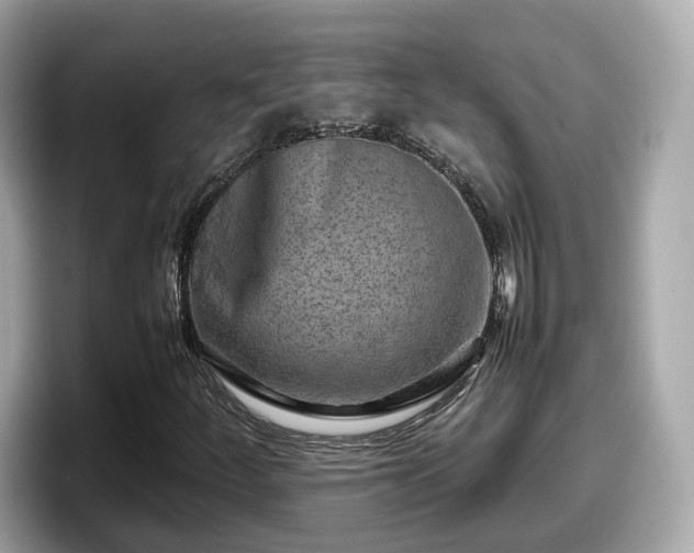 X0000098081252200804110935
