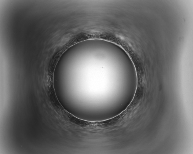 X0000098081253200804110935