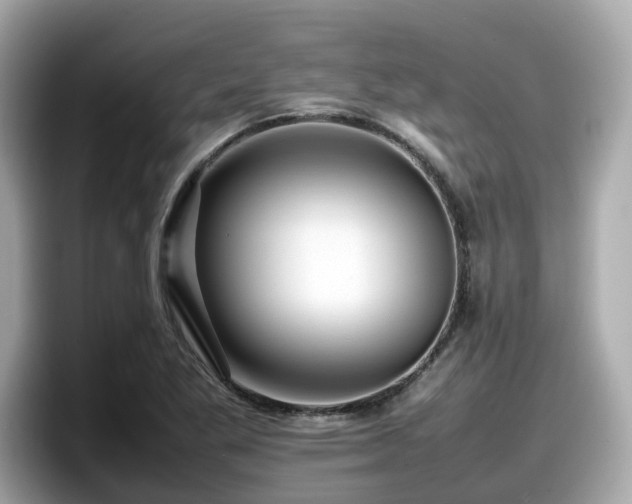 X0000098081269200804110935