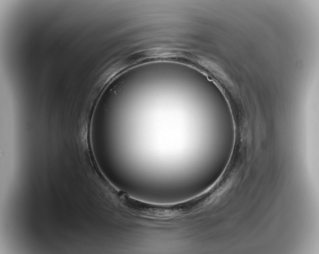 X0000098081273200804110935
