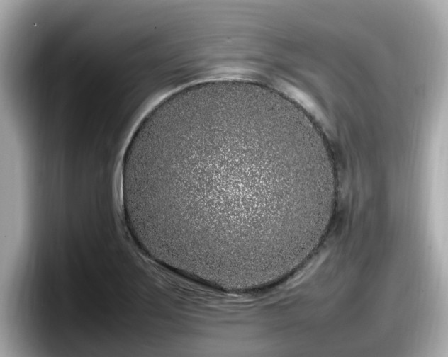 X0000098081275200804110935