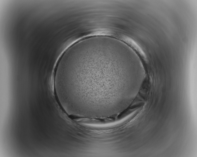 X0000098081276200804110935