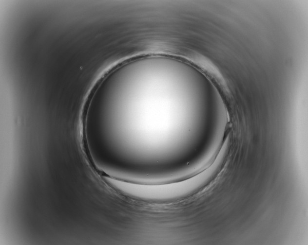 X0000098081280200804110935