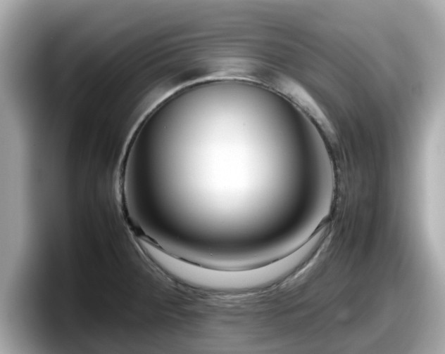 X0000098081284200804110935