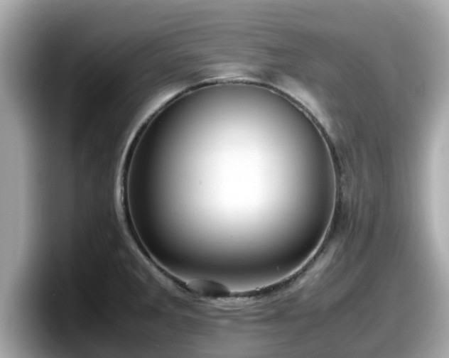 X0000098081285200804110935