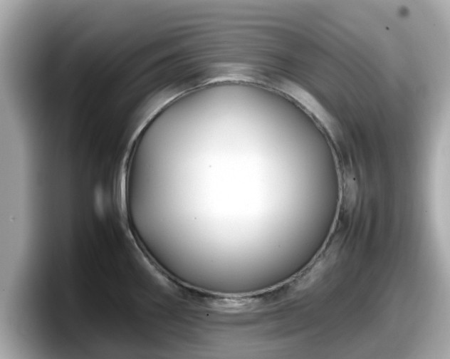 X0000098081290200804110935