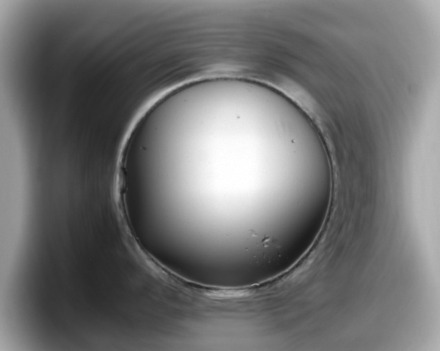 X0000098081296200804110935
