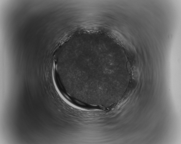 X0000098081298200804110934