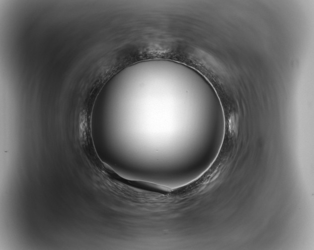 X0000098081299200804110934