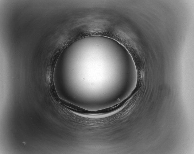 X0000098081300200804110934