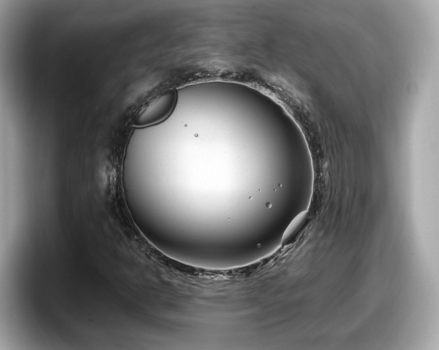 X0000098081302200804110934