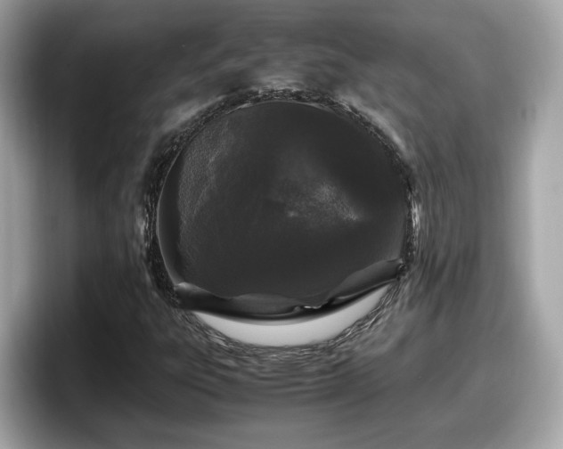 X0000098081303200804110934