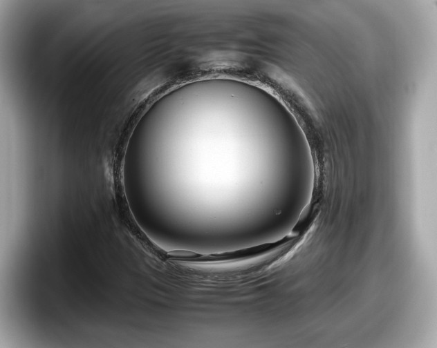 X0000098081305200804110934
