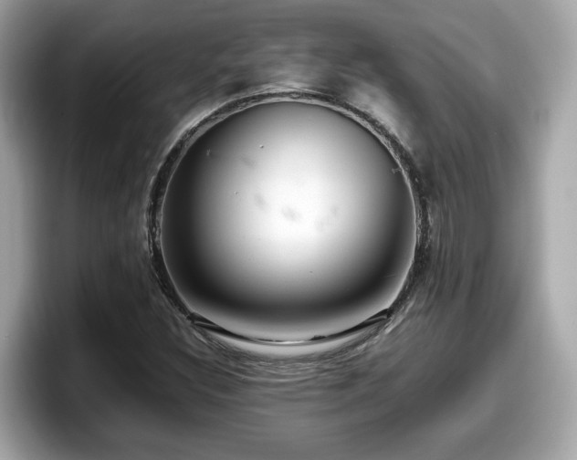 X0000098081308200804110934