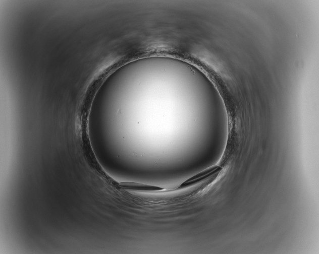 X0000098081309200804110934