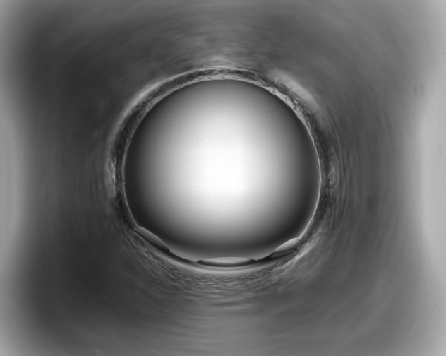 X0000098081310200804110934