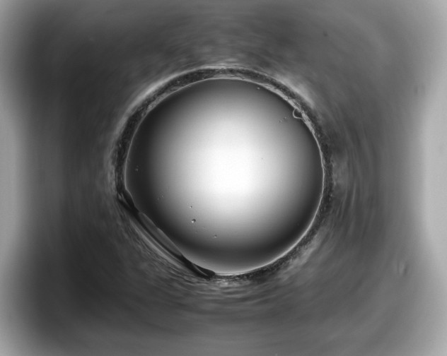 X0000098081311200804110934