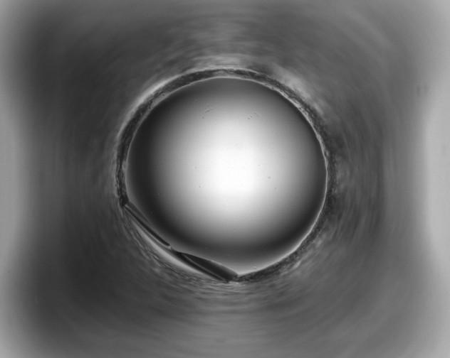 X0000098081312200804110934