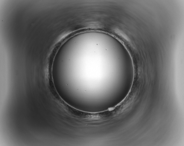 X0000098081315200804110934