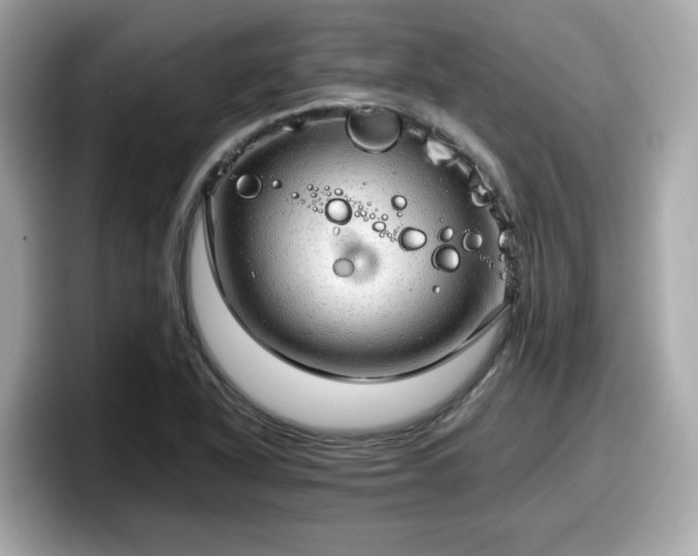 X0000098081318200804110934