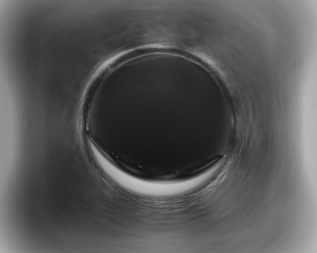 X0000098081319200804110934