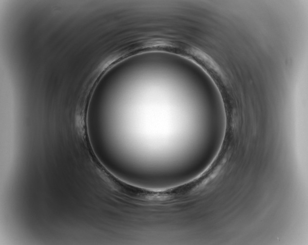 X0000098081321200804110934