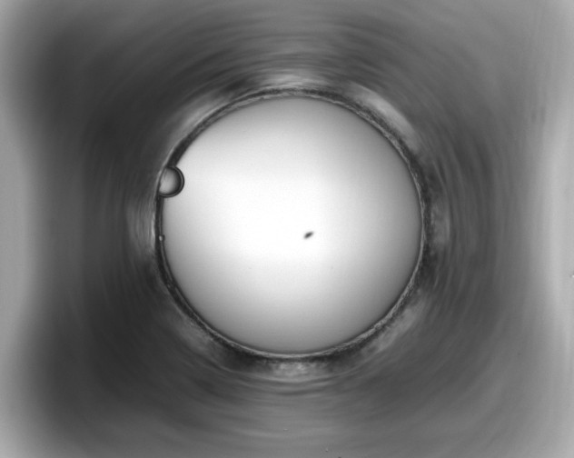 X0000098081322200804110934