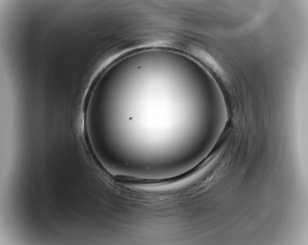 X0000098081324200804110934