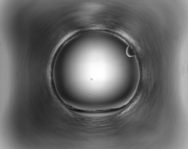 X0000098081325200804110934