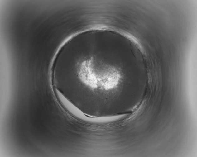 X0000098081326200804110934
