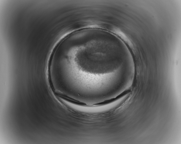 X0000098081331200804110935