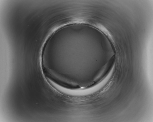 X0000098081334200804110935