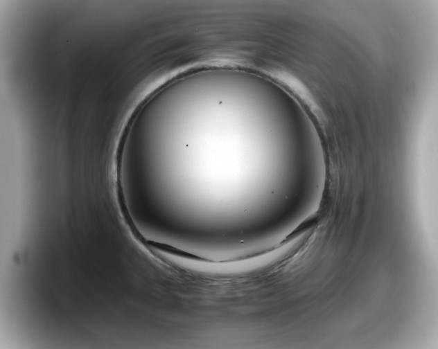 X0000098081335200804110935