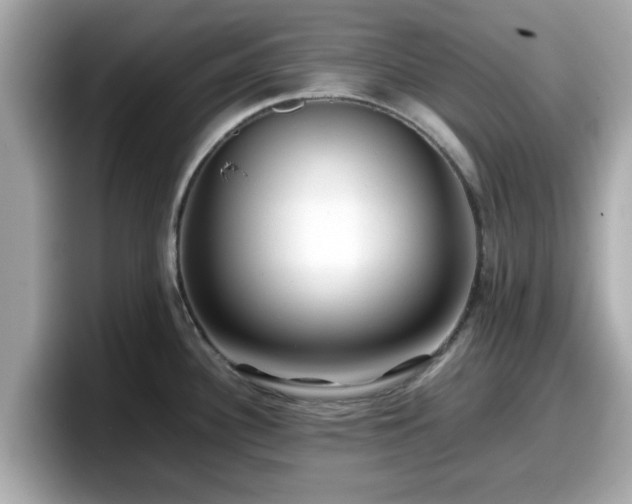 X0000098081340200804110935