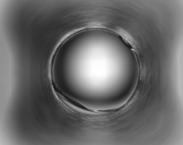 X0000098081342200804110935