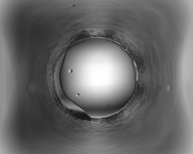 X0000098081345200804110934