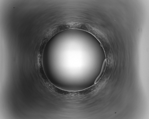 X0000098081346200804110934